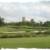 Celebration Golf